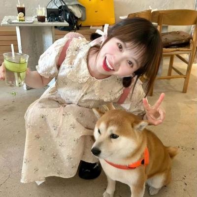 深夜小狗离奇事件